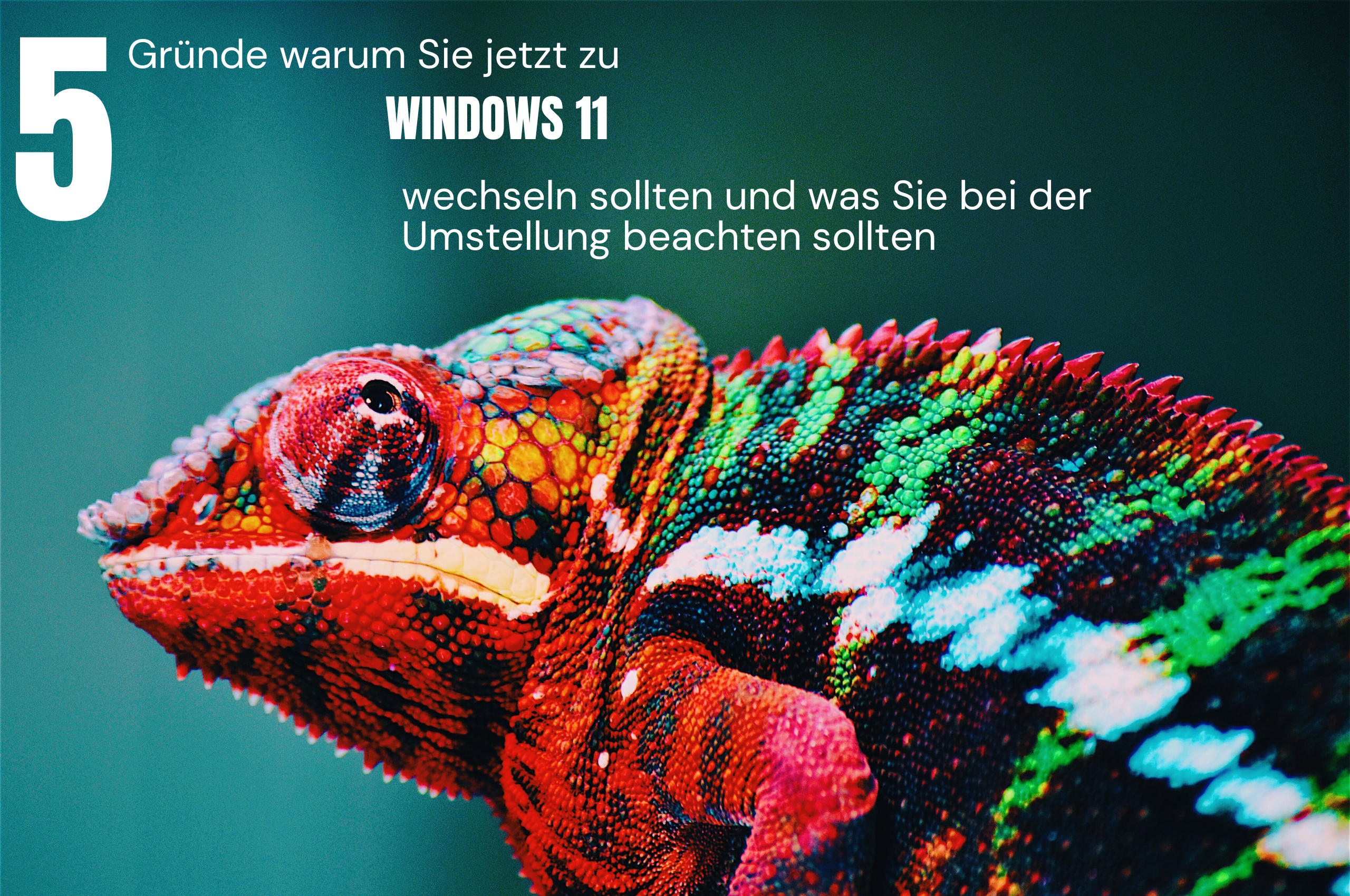 Mehr über den Artikel erfahren Microsoft stellt Windows 10 Sicherheitsupdates ein – 5 Gründe für Windows 11